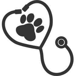 stethoscope icon