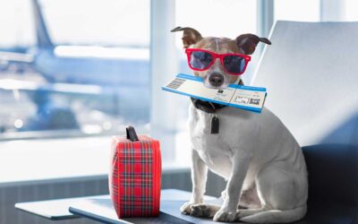 Are you traveling with your pet?