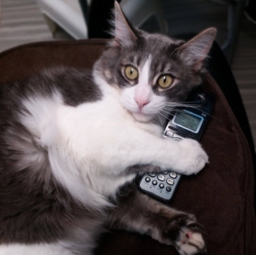 Pudding (Ex-Head Receptionist)